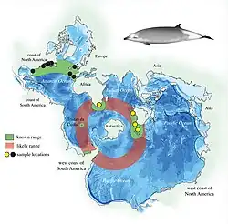 アカボウモドキとラマリハクジラ(英語版)の生息域