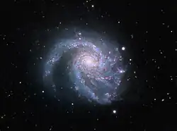 M99