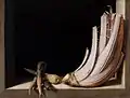 『アーティチョークのある静物』(1603-1627年) グラナダ美術館