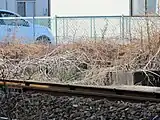 信号扱所の遺構