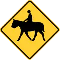 乗馬