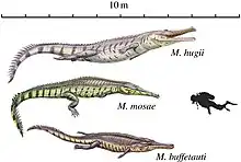 ヨーロッパに生息していたマキモサウルス属の復元図