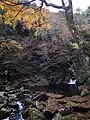 途中にある淵