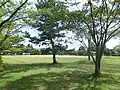 前谷地近隣公園