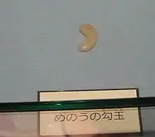 瑪瑙の勾玉