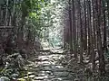 紀北町側の山道(2011年8月)