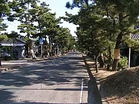 舞阪宿松並木