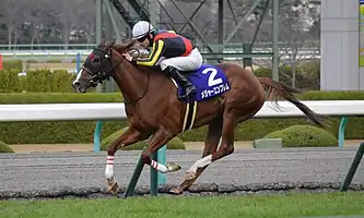 メジャーエンブレム（2013年産）