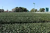 画像左 : 茶畑に囲まれた牧之原SA。画像右 : 由比パーキングエリア。本来PAを設ける地形条件にはなかったが、優れた景観を提供できることから設置された。