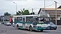 Neman-52012バス