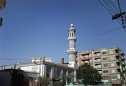 2011年撮影