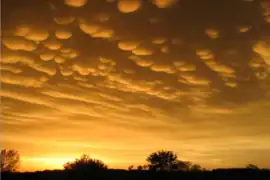 夕日に照らされて浮かび上がる乳房雲