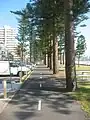 ビーチ沿いの自転車・歩行車道