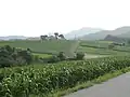 大口の風景