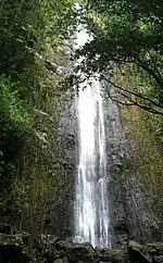 オアフ島のマノア滝