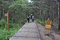 公園内の木道