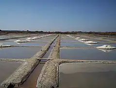 塩田
