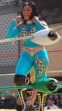 マルセラの画像