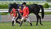 マリアライト (2011年産)