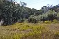 第四湿原の下流側、この先は坂になっておりその下に川下川ダムがある
