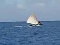 マーシャル諸島のシングルアウトリガー帆走カヌー（ミクロネシア）