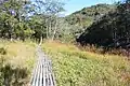 木道のある丸山第三湿原、背景の丘は丸山