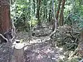 本丸から二の丸（帯曲輪）を撮影