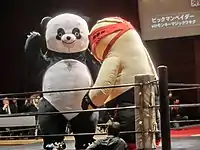 アンドレザ・ジャイアントパンダの画像