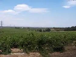 マス・デウ近くの風景、2006年撮影。