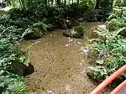 (38) 真姿の池