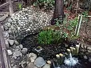 真姿の池の湧水源
