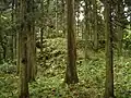 鐘楼堂