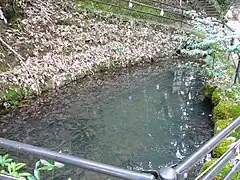 真玉ケ池