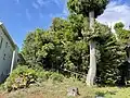 松原東稲荷塚古墳