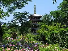 五重塔と紫陽花