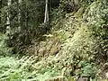 松畑茶屋の石組