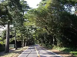 土地区画整理事業施行前の銚子街道・松並木(地名の由来)