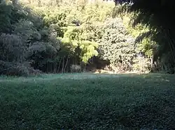 本丸跡