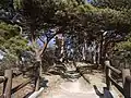 登山道（2013年3月）