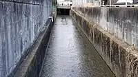 松山川（東横山町内）