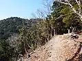 高知県から見た松尾峠と純友城址（左側）