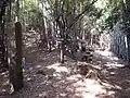 峠の愛媛県側の石碑