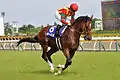安田記念本馬場入場