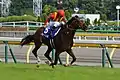 安田記念