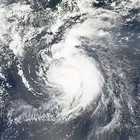 太平洋を北上する台風第11号