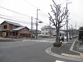 ポプラ並木の道路（真弓4丁目で撮影）