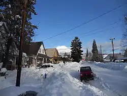 深雪晴のマクラウド。背景にシャスタ山。
