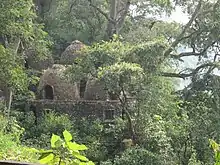 A photograph of meditation chambers, which are small domes built of small stones, with plants growing out of the cracks and surrounded by thick jungle.