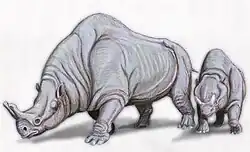 毛皮を持たない想像図