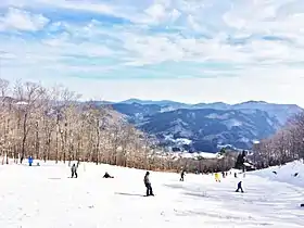 めがひらスキー場